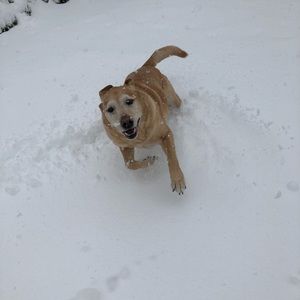 Meet your Posher, Jackie